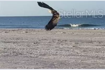 7454 Palm Island Drive #3311, Placida, FL 33946 - Photo 65