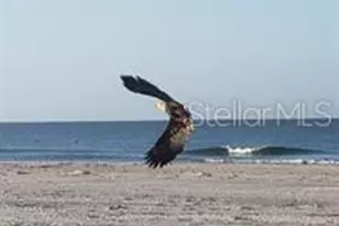 7454 Palm Island Dr, Placida, FL 33946 - Photo 65