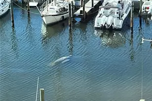 237 Islamorada Blvd, Punta Gorda, FL 33955 - Photo 37