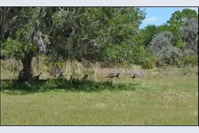 834 Logue Road, Myakka City, FL 34251 - Photo 5