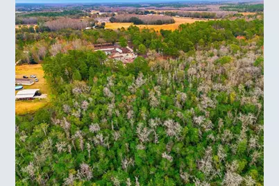 6963 Sugarbush Lane, Polk City, FL 33868 - Photo 7