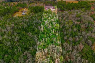 6963 Sugarbush Ln, Polk City, FL 33868 - Photo 15