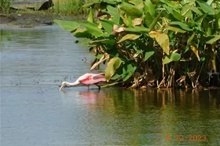 25601 Heritage Lake Blvd, Punta Gorda, FL 33983 - Photo 67