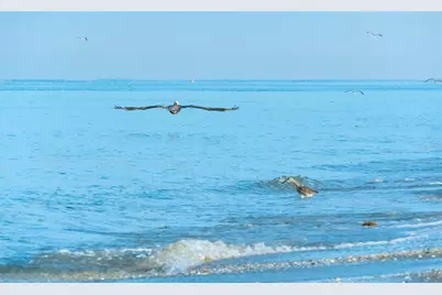 159 April Road, Rotonda West, FL 33947 - Photo 69