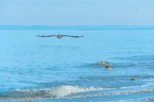 159 April Rd, Rotonda West, FL 33947 - Photo 69