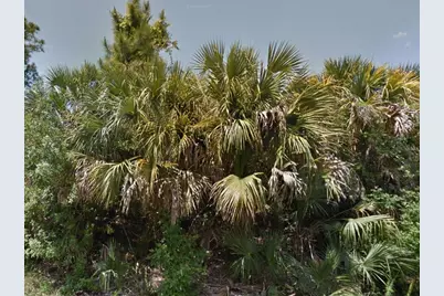 0 Raven Street, North Port, FL 34286 - Photo 3