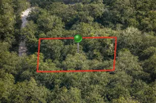 6619 N Canopy Terrace, Hernando, FL 34442 - Photo 1