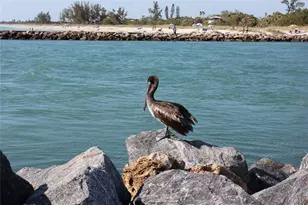 20097 Pezzana Dr, Venice, FL 34292 - Photo 43