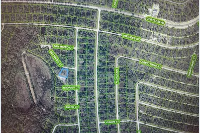 8674 San Mateo Street, Sebring, FL 33872 - Photo 3