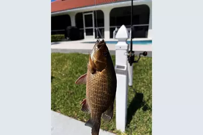 918 Messina Drive, Punta Gorda, FL 33950 - Photo 57