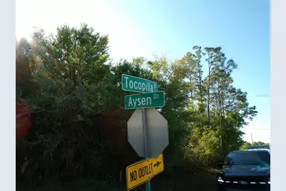 25161 Aysen Drive, Punta Gorda, FL 33983 - Photo 11