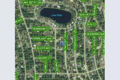 648 Twilight Drive, Lake Placid, FL 33852 - Photo 3