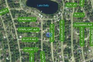 648 Twilight Dr, Lake Placid, FL 33852 - Photo 3