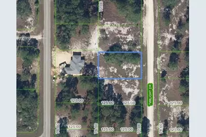 648 Twilight Drive, Lake Placid, FL 33852 - Photo 1