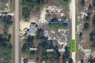 648 Twilight Dr, Lake Placid, FL 33852 - Photo 1