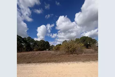 648 Twilight Drive, Lake Placid, FL 33852 - Photo 5