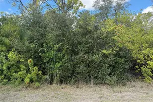 33 Cheshire St, Port Charlotte, FL 33953 - Photo 1