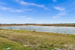 15927 Mulrion Blvd, Punta Gorda, FL 33982 - Photo 39