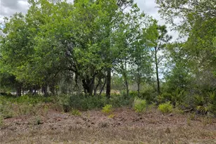 3337 Swanee Rd, Punta Gorda, FL 33980 - Photo 1