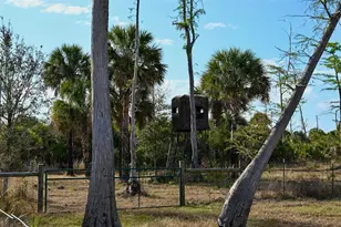Black Burn Rd, Naples, FL 34117 - Photo 1