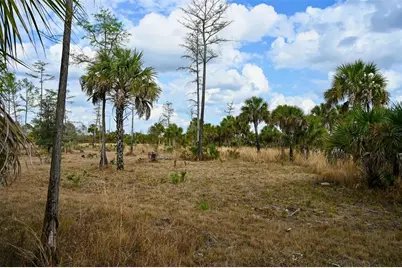 Black Burn Road, Naples, FL 34117 - Photo 29