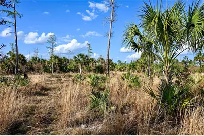 Black Burn Road, Naples, FL 34117 - Photo 21