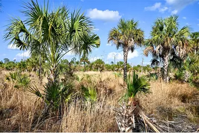 Black Burn Road, Naples, FL 34117 - Photo 27