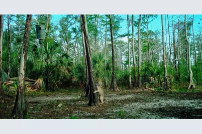 Black Burn Road, Naples, FL 34117 - Photo 33