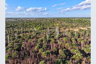 Black Burn Road, Naples, FL 34117 - Photo 17