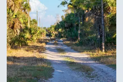 Black Burn Road, Naples, FL 34117 - Photo 37