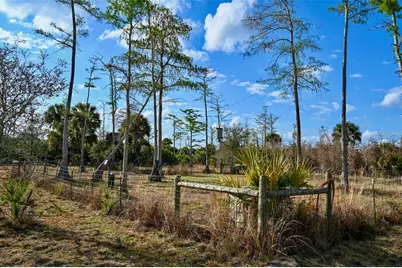Black Burn Road, Naples, FL 34117 - Photo 11