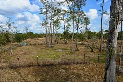Black Burn Road, Naples, FL 34117 - Photo 5