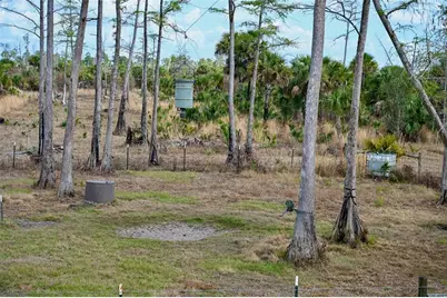 Black Burn Road, Naples, FL 34117 - Photo 15