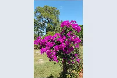 1658 Scarlett Avenue, North Port, FL 34289 - Photo 45