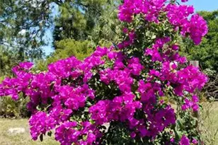 1658 Scarlett Ave, North Port, FL 34289 - Photo 45