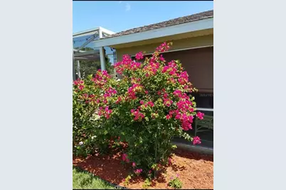 1658 Scarlett Avenue, North Port, FL 34289 - Photo 49