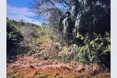 Lot 67 Harcourt Circle, North Port, FL 34288 - Photo 3