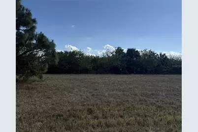 14033 Torpedo-Ray Place, Placida, FL 33946 - Photo 3