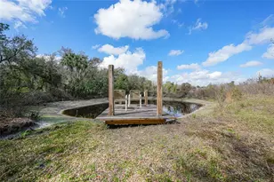 9796 SW Southern Dreams Rd, Arcadia, FL 34269 - Photo 69