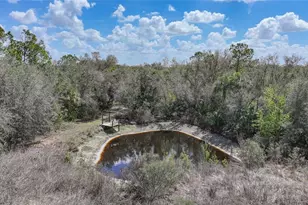 9796 SW Southern Dreams Rd, Arcadia, FL 34269 - Photo 61