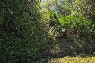 Janaro Rd, North Port, FL 34288 - Photo 1