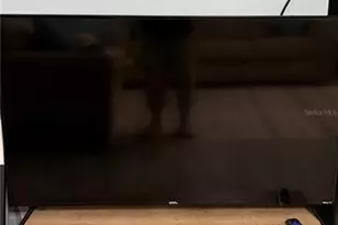 14062 Palm St, Madeira Beach, FL 33708 - Photo 7