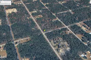 SW Breezy Point Dr, Dunnellon, FL 34431 - Photo 1