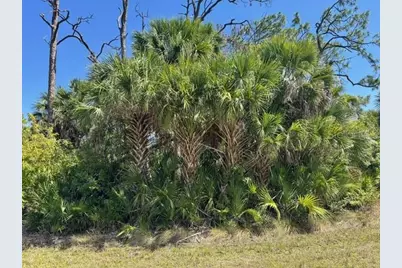 5102 Hopkins Avenue, Port Charlotte, FL 33981 - Photo 3