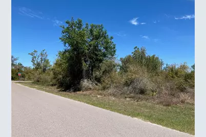 273 Omen Street, Punta Gorda, FL 33982 - Photo 13