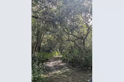 7062 Crooked Creek, Zolfo Springs, FL 33890 - Photo 9