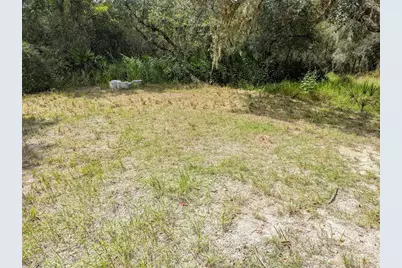 7062 Crooked Creek, Zolfo Springs, FL 33890 - Photo 15