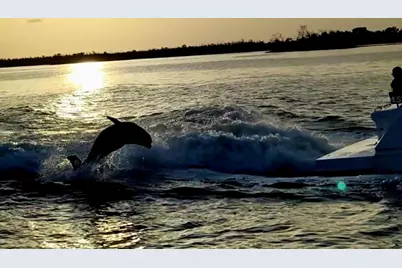 3420 1st Avenue, Saint James City, FL 33956 - Photo 69