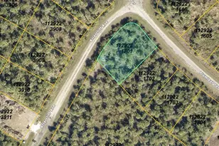 Plumleaf Terrace, North Port, FL 34288 - Photo 1