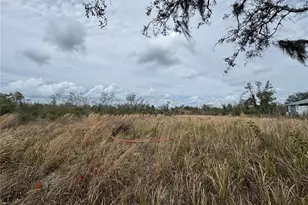 8500 SW Aviary Rd, Arcadia, FL 34269 - Photo 1